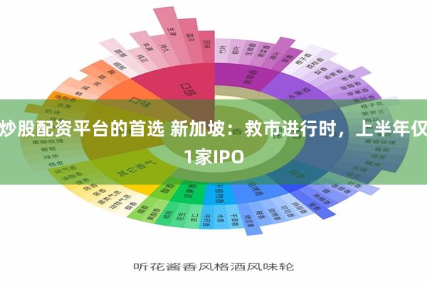 炒股配资平台的首选 新加坡：救市进行时，上半年仅1家IPO