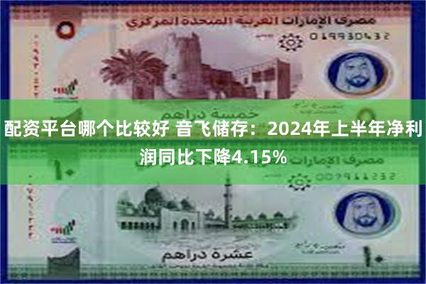 配资平台哪个比较好 音飞储存：2024年上半年净利润同比下降4.15%