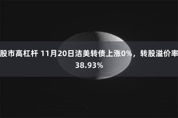 股市高杠杆 11月20日洁美转债上涨0%，转股溢价率38.93%