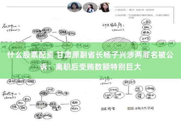 什么股票配资 甘肃原副省长杨子兴涉两罪名被公诉：离职后受贿数额特别巨大